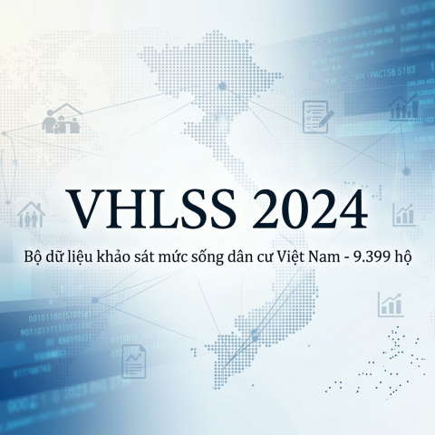 Bộ dữ liệu VHLSS 2024 – mẫu 9.399 hộ thu nhập – chi tiêu